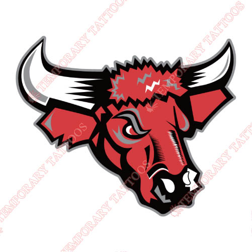 Nebraska Omaha Mavericks Customize Temporary Tattoos Stickers NO.5398